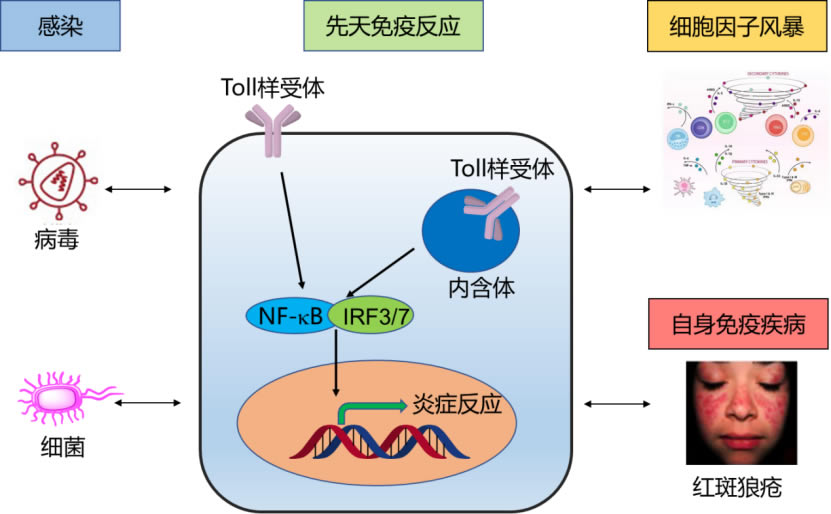 科学基础.jpg