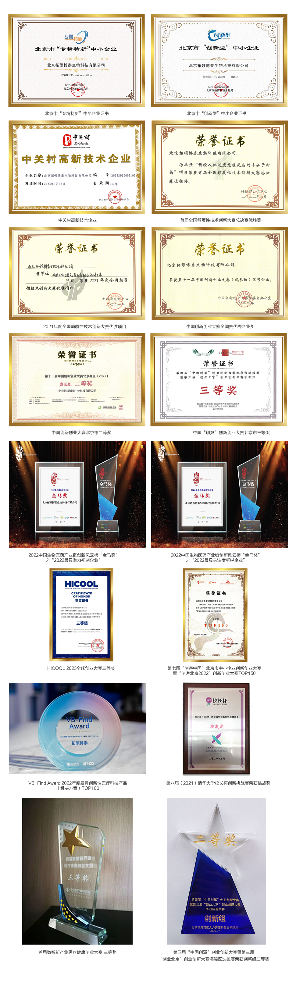 证书20231124.png